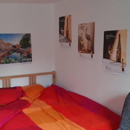 Gite De Benedicte Ancienne Douane Colmar Dış mekan fotoğraf
