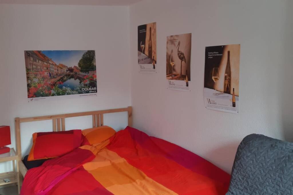 Gite De Benedicte Ancienne Douane Colmar Dış mekan fotoğraf