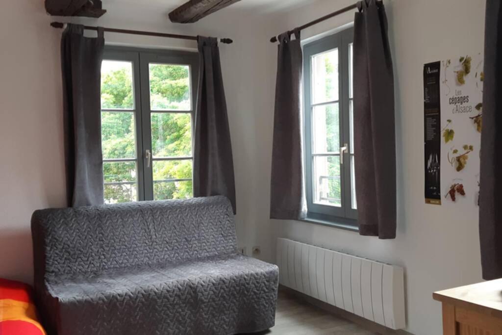 Gite De Benedicte Ancienne Douane Colmar Dış mekan fotoğraf